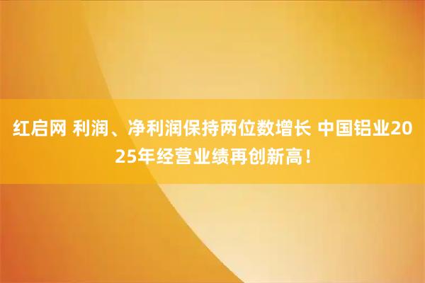红启网 利润、净利润保持两位数增长 中国铝业2025年经营业绩再创新高！