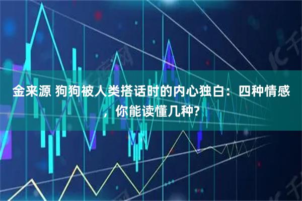 金来源 狗狗被人类搭话时的内心独白:四种情感,你能读懂几种?